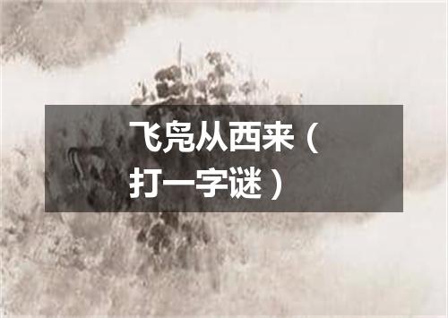 飞凫从西来（打一字谜）
