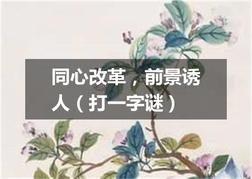 同心改革，前景诱人（打一字谜）