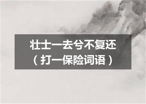 壮士一去兮不复还（打一保险词语）