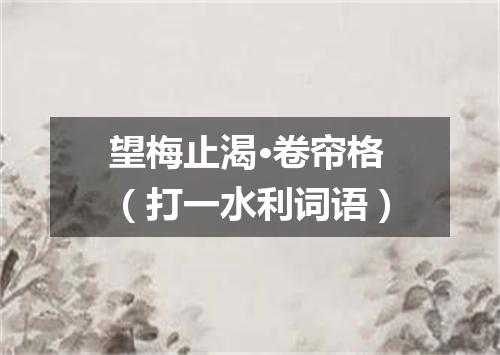 望梅止渴·卷帘格（打一水利词语）