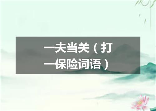 一夫当关（打一保险词语）