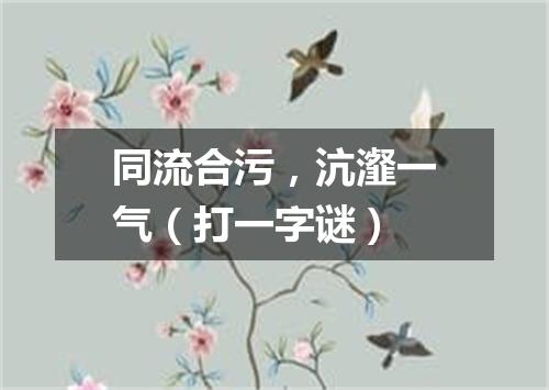 同流合污，沆瀣一气（打一字谜）