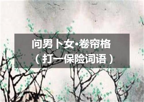 问男卜女·卷帘格（打一保险词语）