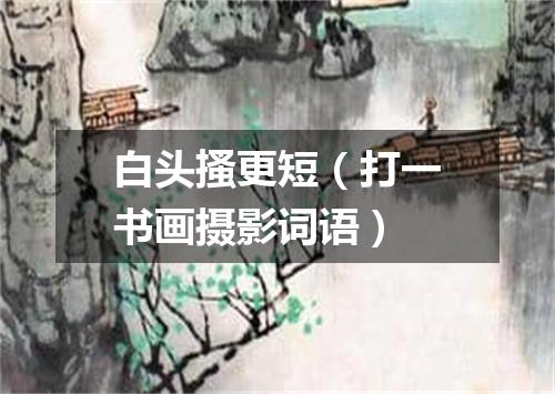 白头搔更短（打一书画摄影词语）