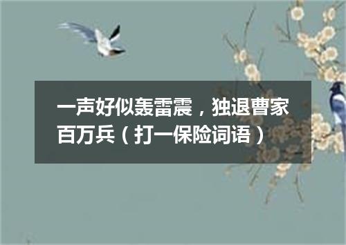 一声好似轰雷震，独退曹家百万兵（打一保险词语）