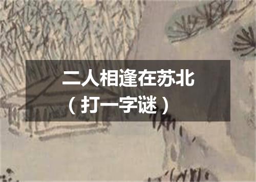 二人相逢在苏北（打一字谜）