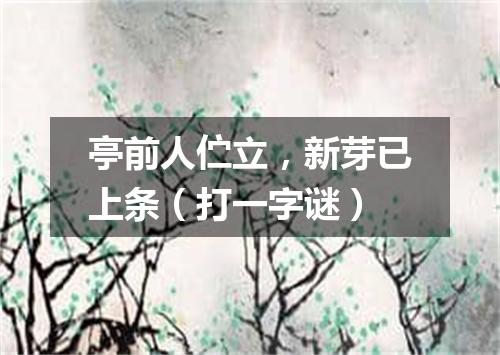 亭前人伫立，新芽已上条（打一字谜）