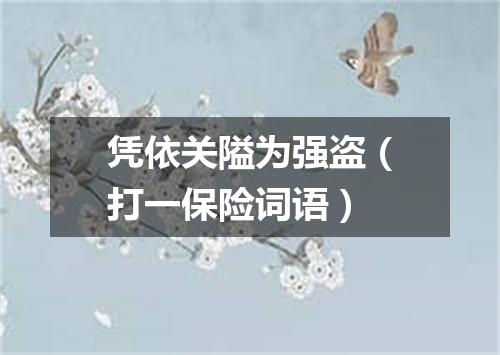凭依关隘为强盗（打一保险词语）