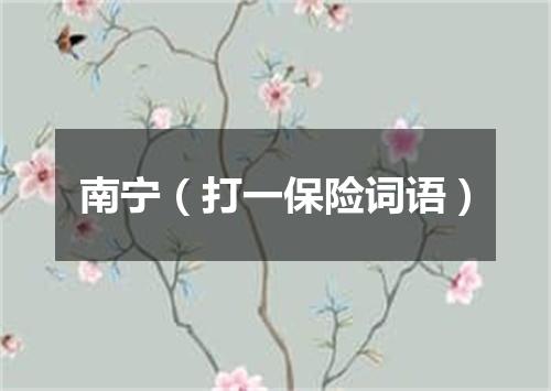 南宁（打一保险词语）