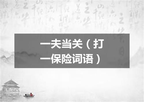 一夫当关（打一保险词语）