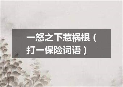 一怒之下惹祸根（打一保险词语）