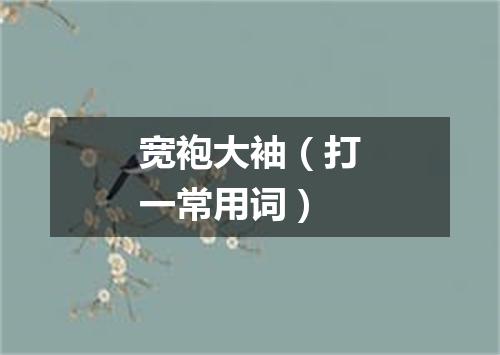 宽袍大袖（打一常用词）