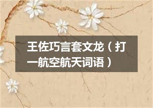 王佐巧言套文龙（打一航空航天词语）