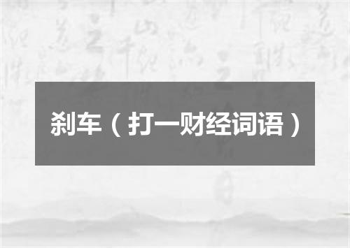 刹车（打一财经词语）