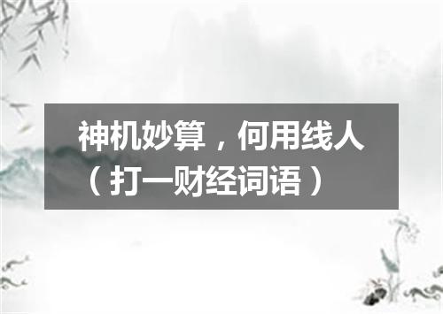神机妙算，何用线人（打一财经词语）