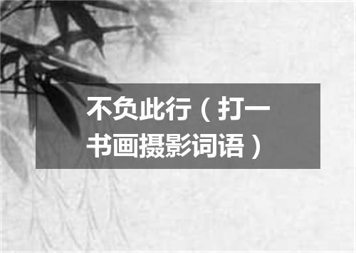 不负此行（打一书画摄影词语）