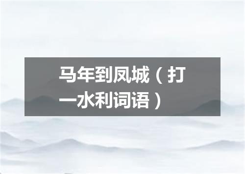 马年到凤城（打一水利词语）