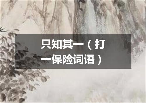 只知其一（打一保险词语）