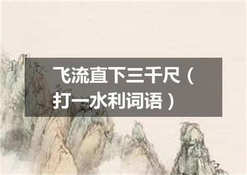 飞流直下三千尺（打一水利词语）