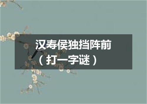 汉寿侯独挡阵前（打一字谜）