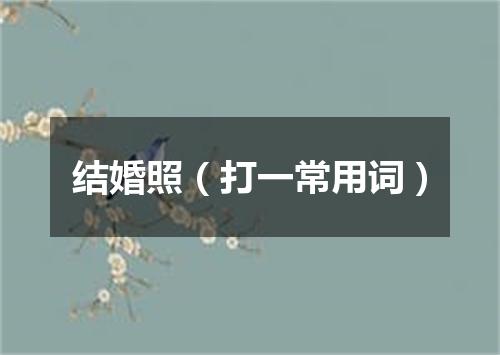 结婚照（打一常用词）