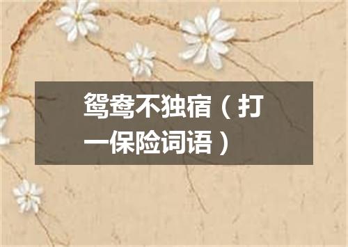 鸳鸯不独宿（打一保险词语）