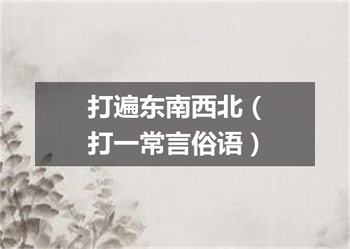 打遍东南西北（打一常言俗语）