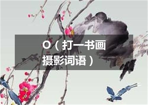 O（打一书画摄影词语）