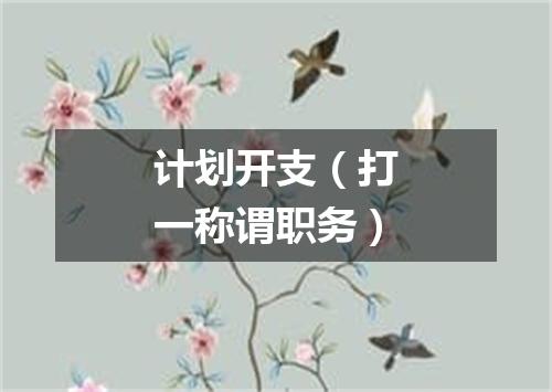 计划开支（打一称谓职务）