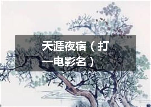 天涯夜宿（打一电影名）