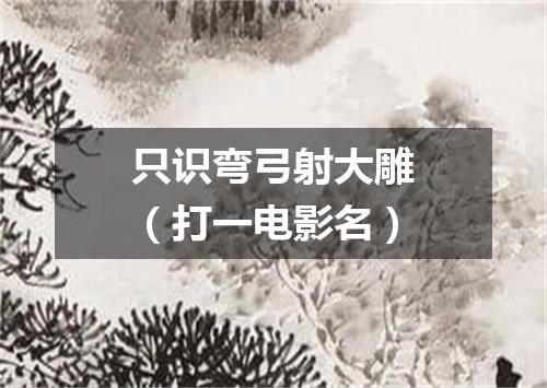 只识弯弓射大雕（打一电影名）