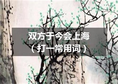 双方于今会上海（打一常用词）