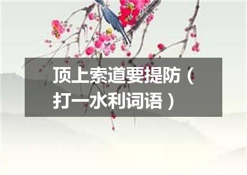 顶上索道要提防（打一水利词语）