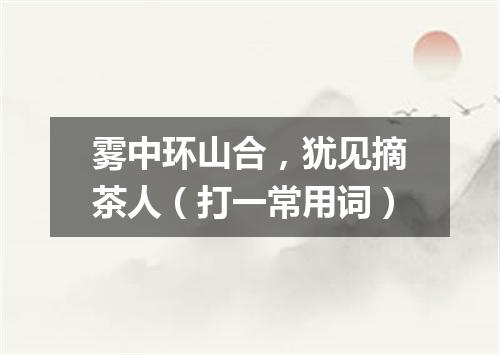 雾中环山合，犹见摘茶人（打一常用词）