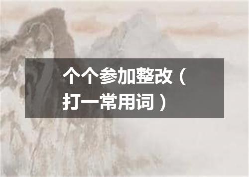 个个参加整改（打一常用词）