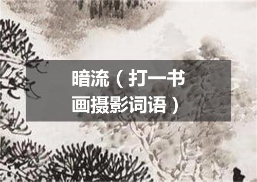 暗流（打一书画摄影词语）