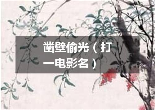 凿壁偷光（打一电影名）