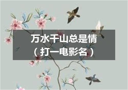 万水千山总是情（打一电影名）