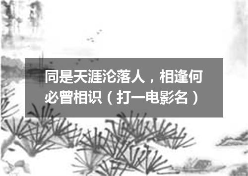 同是天涯沦落人，相逢何必曾相识（打一电影名）