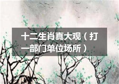 十二生肖真大观（打一部门单位场所）
