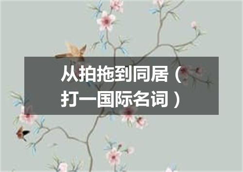 从拍拖到同居（打一国际名词）