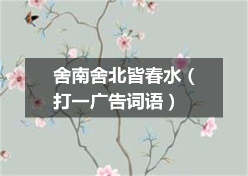 舍南舍北皆春水（打一广告词语）