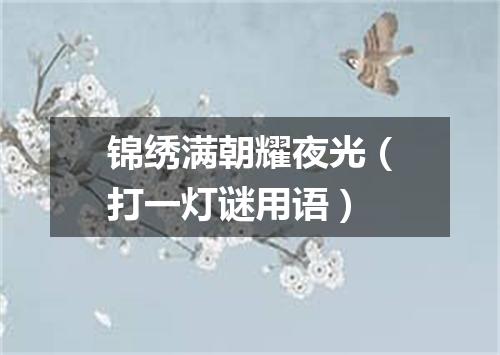 锦绣满朝耀夜光（打一灯谜用语）