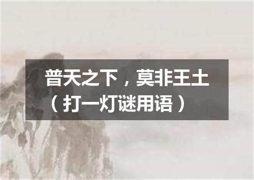 普天之下，莫非王土（打一灯谜用语）