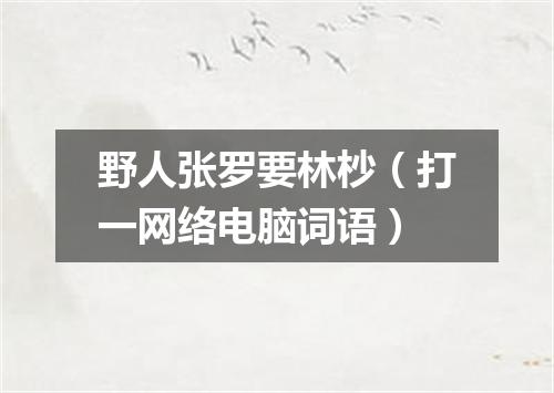 野人张罗要林杪（打一网络电脑词语）