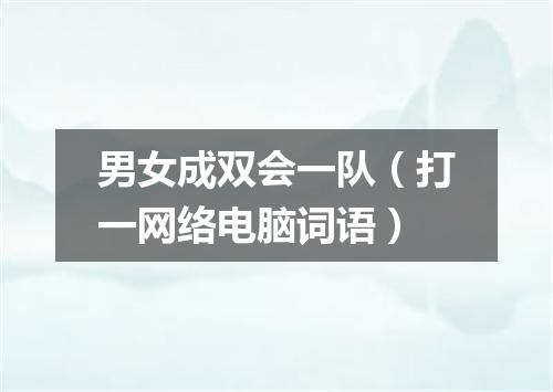 男女成双会一队（打一网络电脑词语）