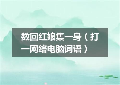 数回红娘集一身（打一网络电脑词语）