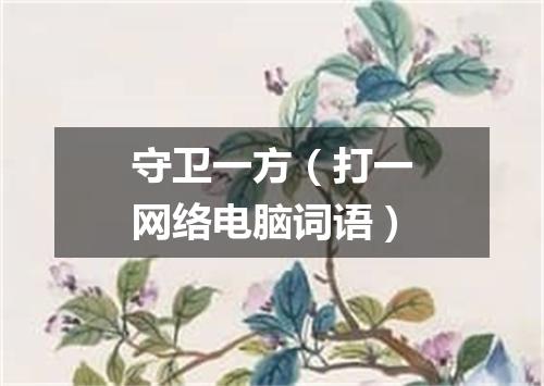 守卫一方（打一网络电脑词语）