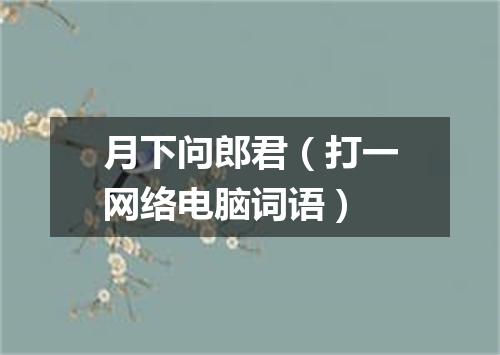 月下问郎君（打一网络电脑词语）