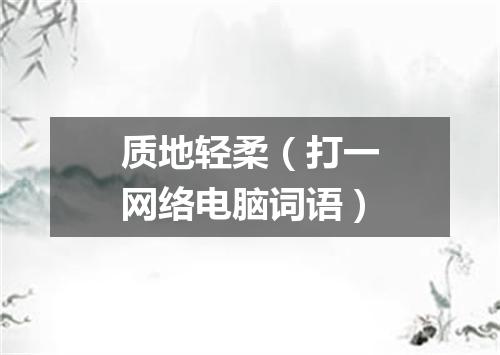 质地轻柔（打一网络电脑词语）
